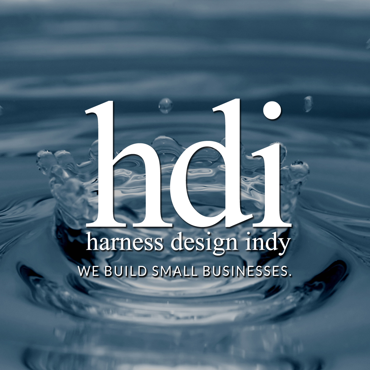 Adam Harness Design