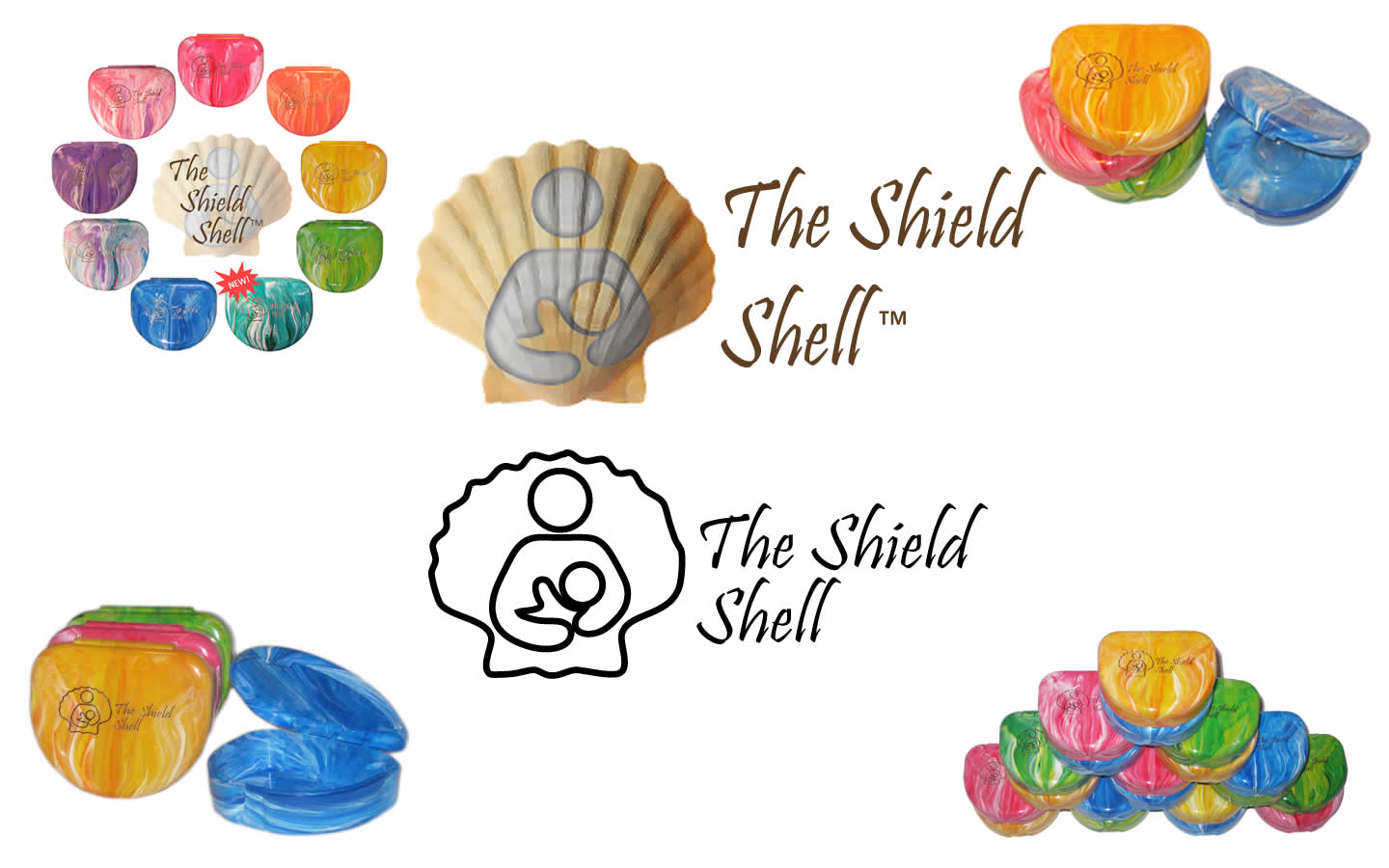shield shell logo design, photo editing, graphic design